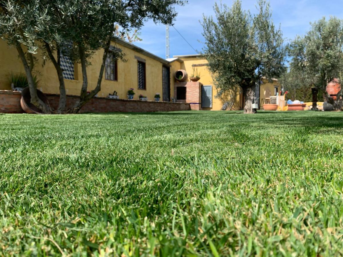 Cortijo Bustamante Guest House Baza Luaran gambar